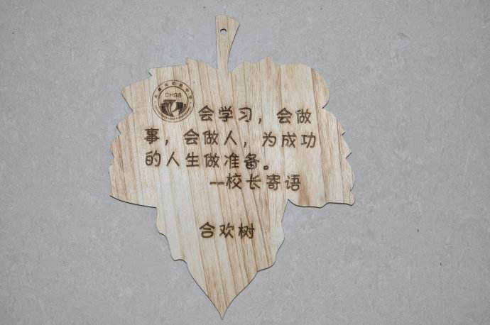 佳能镜头全画幅——，佳能镜头全画幅的魅力解析