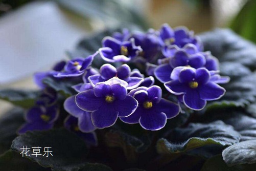 佳能人文镜头——，捕捉生活细腻，记录瞬间永恒